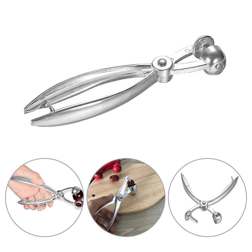 Aluminum olive & cherry pitter