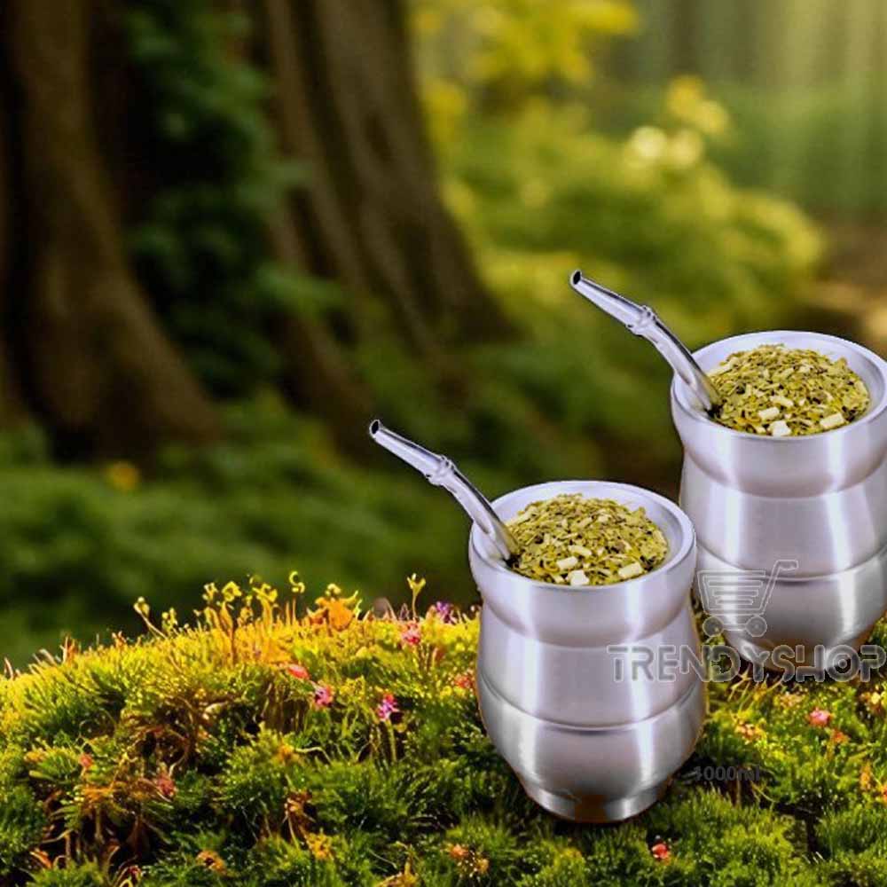 Yerba Mate cup stainless steel double wall & straw