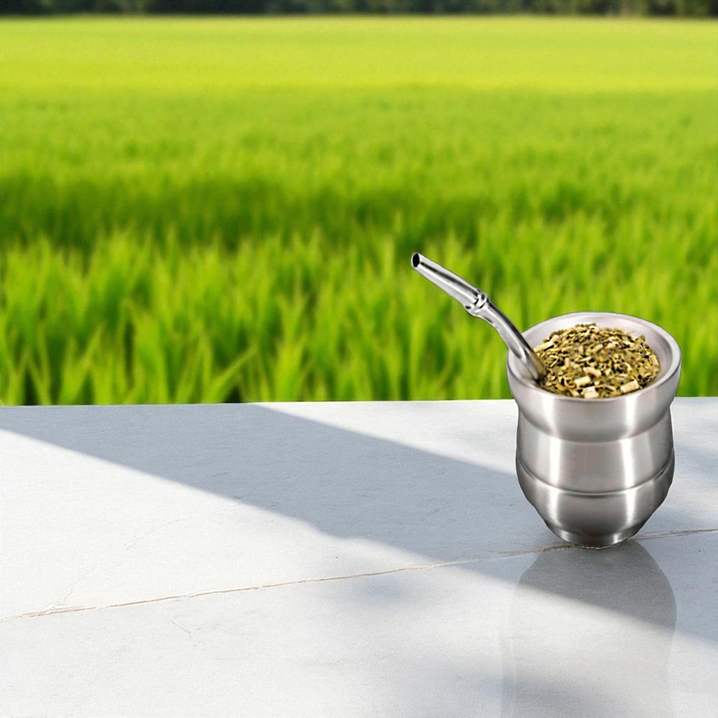 Yerba Mate cup stainless steel double wall & straw